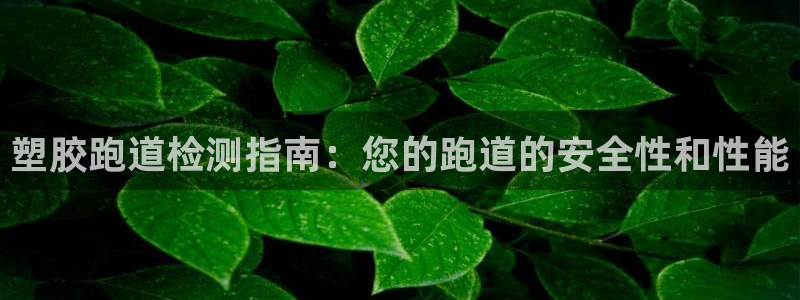 尊龙集团有限公司是国企吗：塑胶跑道检测指南：您的跑道