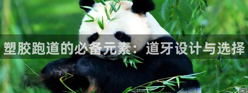 尊龙手机客户端下载