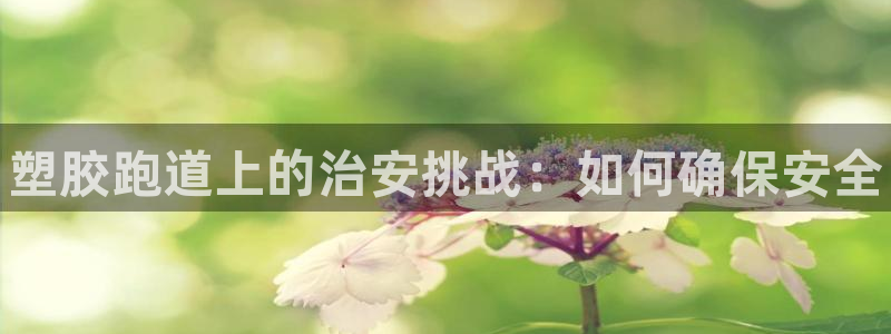 尊龙z6.con：塑胶跑道上的治安挑战：如何确保安全