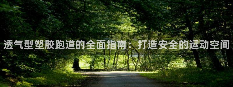 尊龙休闲e站怎么样：透气型塑胶跑道的全面指南：打造安全的运动